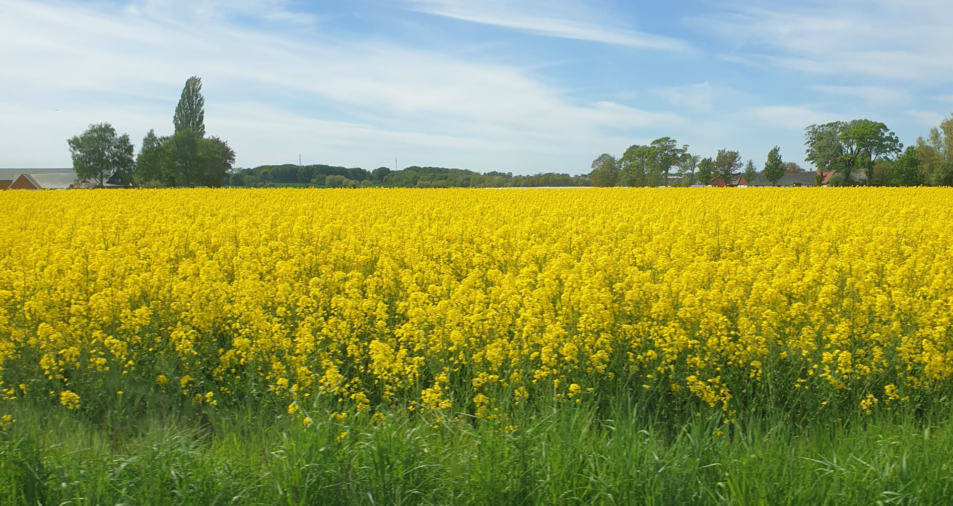 Redig Redig – Managementkonsulting från Skåne